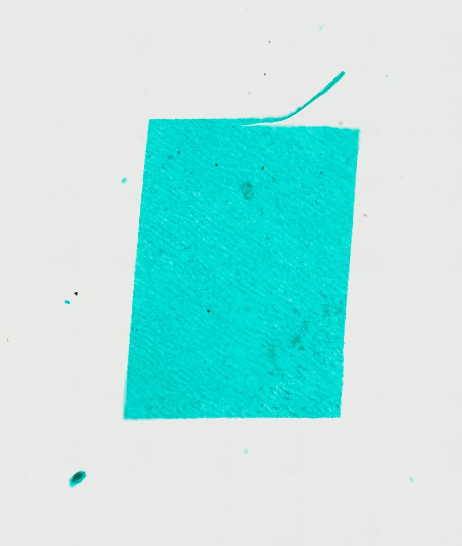 Microscope slide: Capsicum Peel (Whole Mount)