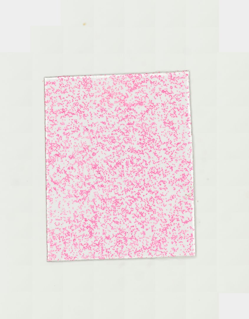 Microscope slide: Frog Blood Smear